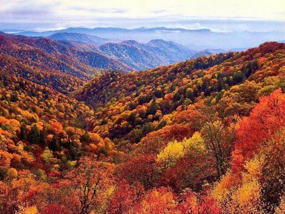Whiskey Ridge Lodge, A Restored 1940S Gem, 2 Mins From Downtown, Breathtaking City Views, Custom Game Room, And Spacious Elegance Gatlinburg Extérieur photo